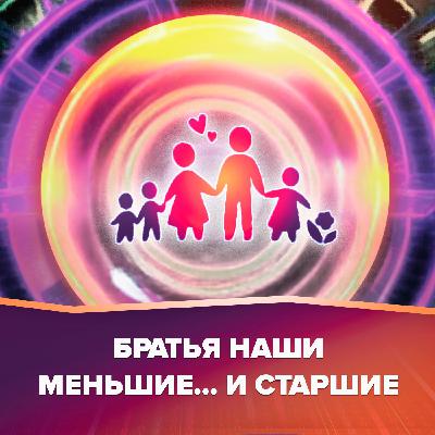 Братья и сестры – друзья на век? Многодетные семьи| НедораЗУМнения