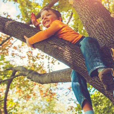 WEEK 7 - The Risk of No risk