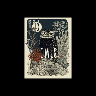 Owls