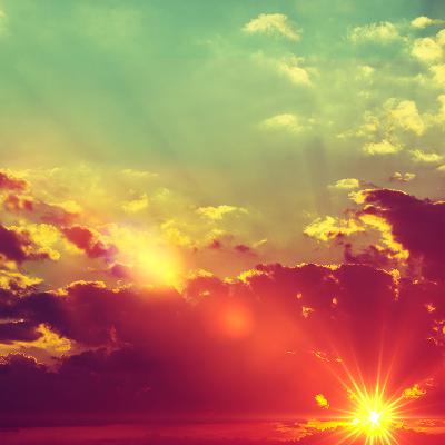 New Beginnings New Beginnings