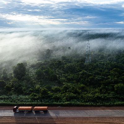 Brazilian soy farmers want Amazon restrictions to be lifted
