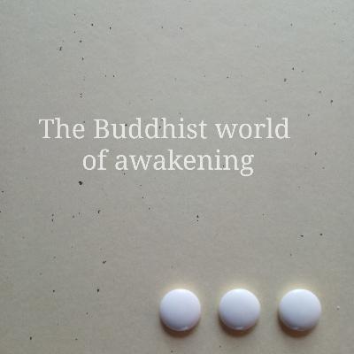The Buddhist world of awakening 24. "The theory of mind-only and the real state of things"