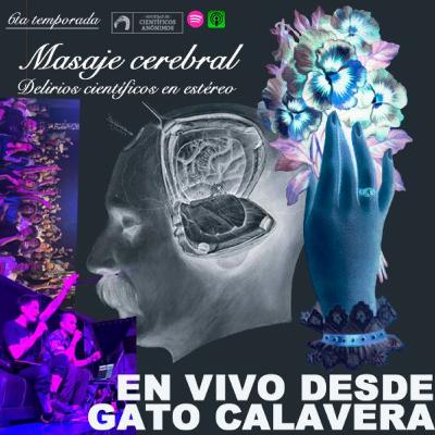 EN VIVO DESDE GATO CALAVERA