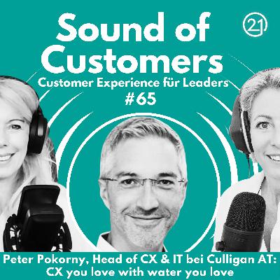 Customer Experience you love with water you love Ein Gespräch mit Peter Pokorny Head of CX & IT bei Culligan