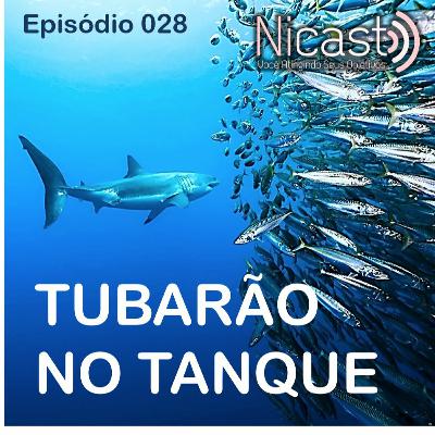 #028 - Tubarão no Tanque