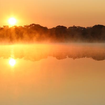 Africa Day Break and Hippos at Kasungu National Park, Malawi. (15 min).