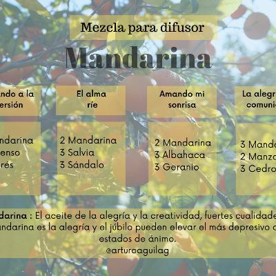 Mandarina " El aceite de la alegría y la creatividad "