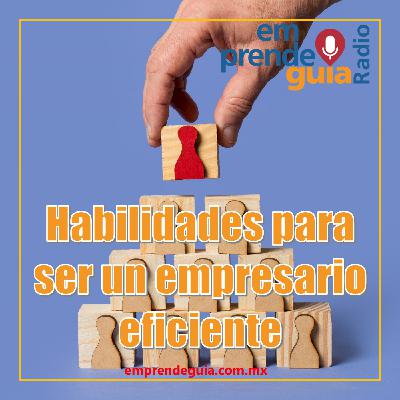 Habilidades para ser un empresario eficiente