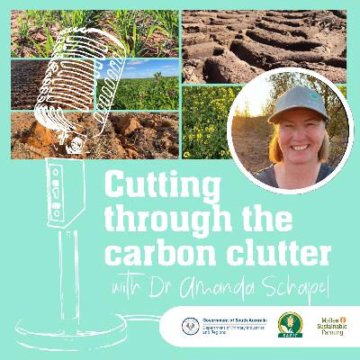 Cutting through the carbon clutter Cutting through the carbon clutter