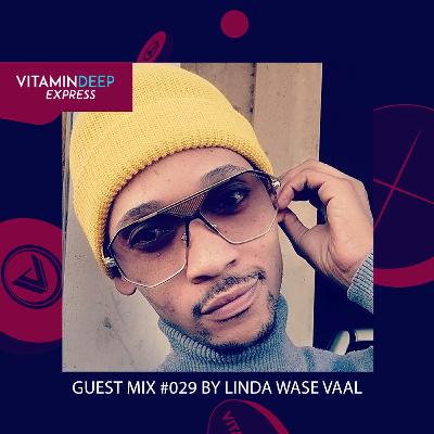 Vitamin Deep Express Guest Mix #029 By Linda Wase Vaal Vitamin Deep Express Guest Mix #029 By Linda Wase Vaal