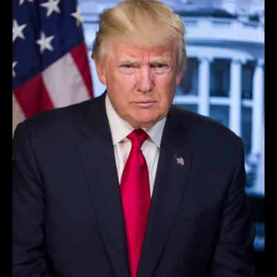 Donald Trump wins the US election