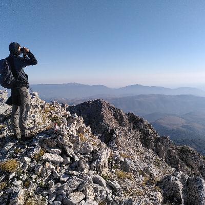 Rewilding in the Apennines Pt 1