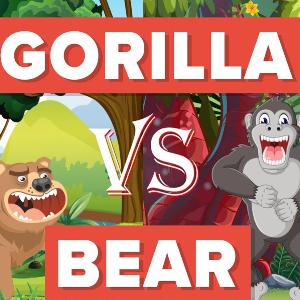 Episode 1: Bears vs. Gorillas