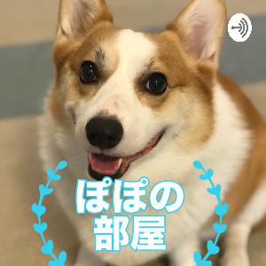 WordPressでsvgファイルのアップロードに成功しました。