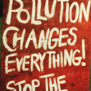 The History of Sustainability