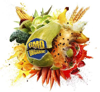 Episode #16 Food Evolution Review