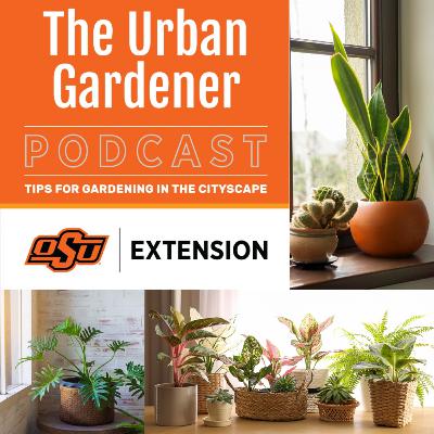 Episode 53: From Sunshine to Short Days