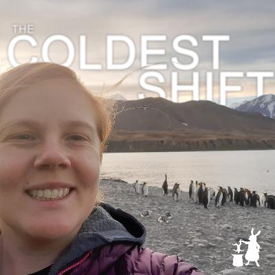 1: The Job 1: The Job