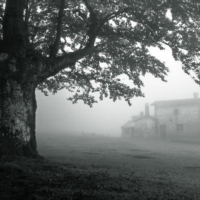 My Childhood Home