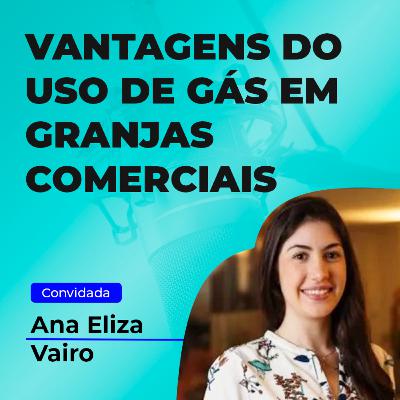 Vantagens competitivas com o uso de gás em granjas comerciais
