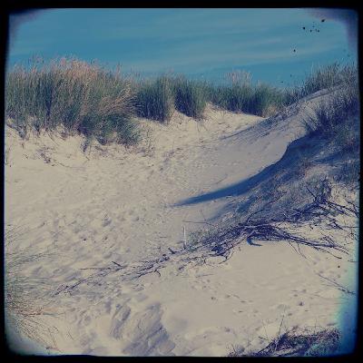 Drama um die Dünen Dame