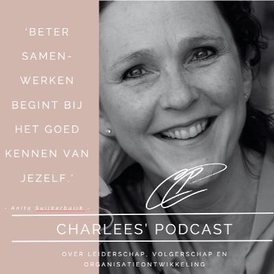 Aflevering 4. Groepsdynamica en teamontwikkeling met Anita Suijkerbuijk