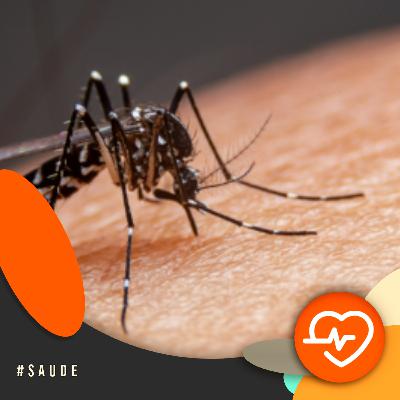 Com a Saúde em Dia - Queda nos casos de dengue