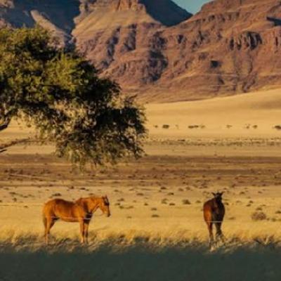 The Nambi; The World Oldest Desert The Nambi; The World Oldest Desert