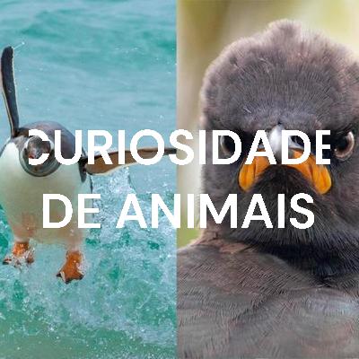 CURIOSIDADE DE ANIMAIS