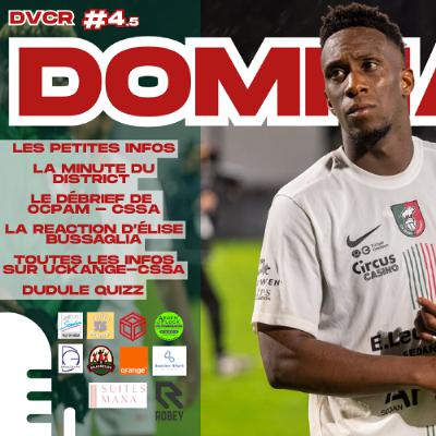 DVCR 4.5. :DOMMAGE