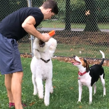 Expert Dog Trainer in Marlton, NJ