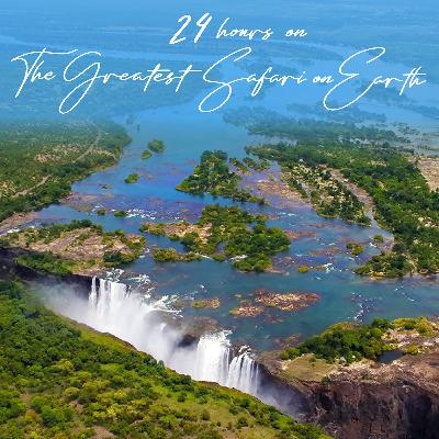 24 Hours on The Greatest Safari on Earth