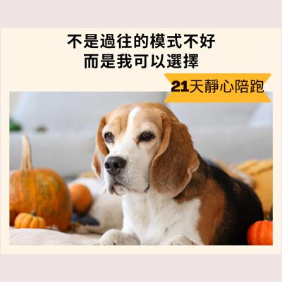 面對害怕｜21 天靜心陪跑 Day 7