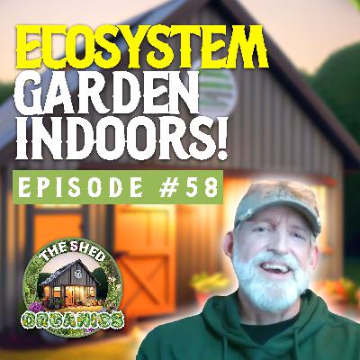 #58 - Regenerative Indoor Creek Ecosystem | Josh [Yellow Skunk Farms]