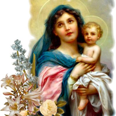 Immodest Dress: The Mind of the Church Immodest Dress: The Mind of the Church