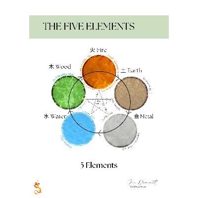 5 Element Theory