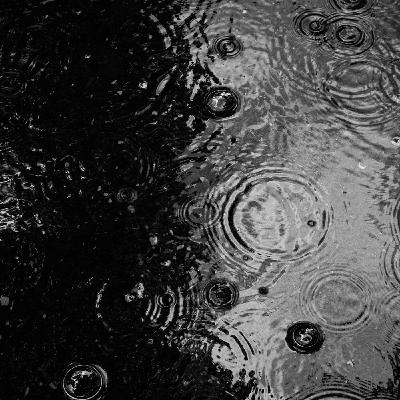 Jeu du conformisme Jeu du conformisme