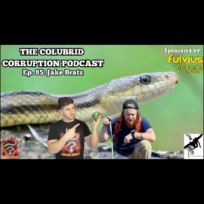 The North American Colubrid World w/ Jake Bratz | The Colubrid Corruption Podcast | Ep. 85