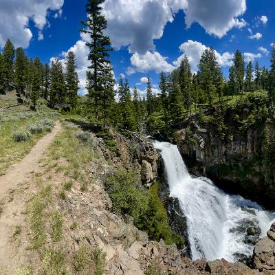 This Week in Yellowstone: June 5th to June 11th, 2025