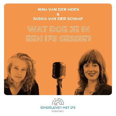 Wat doe je in een IFS sessie? Wat doe je in een IFS sessie?