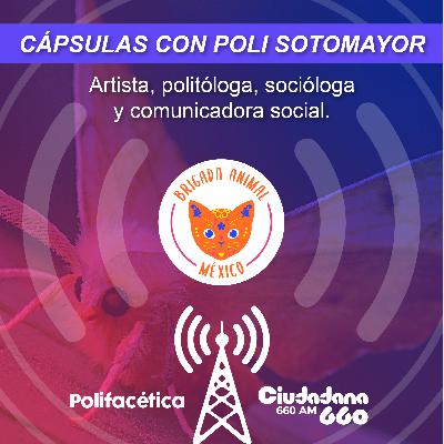 "Transición alimentaria" Cápsula de radio Ciudadana 660