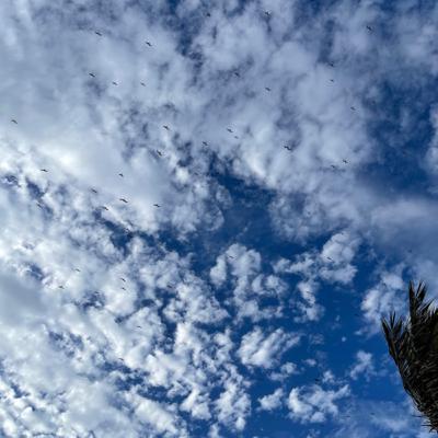 Venimos a disfrutar…. Venimos a disfrutar….