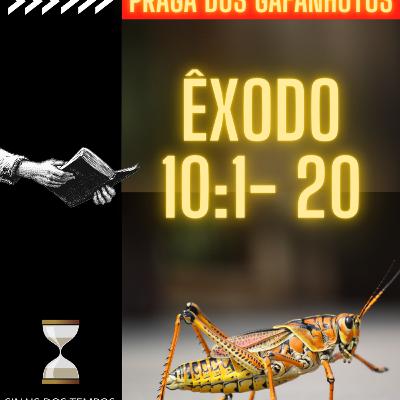 Oitava Praga: Gafanhotos. Êxodo capítulo 10 versos 1 a 20 Oitava Praga: Gafanhotos. Êxodo capítulo 10 versos 1 a 20