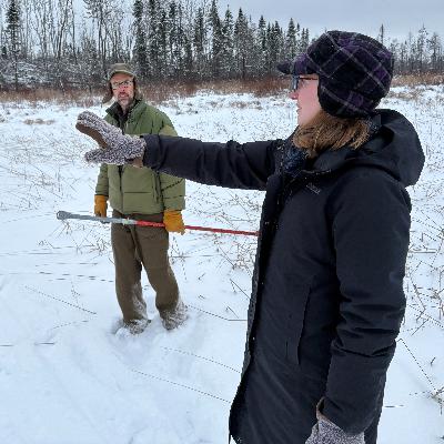 Fire, Logging, and Healthy Forests Near the Boundary Waters