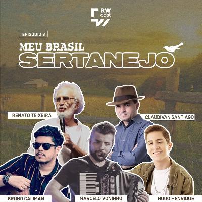 Meu Brasil Sertanejo: a composição e o arranjo na música