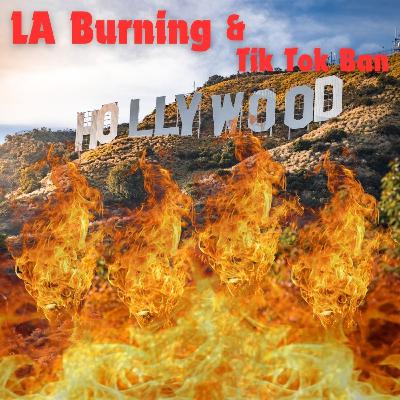 LA Burning and TikTok Ban