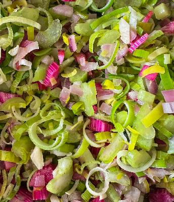 The Jellyfish Buffet with Kathleen Martin The Jellyfish Buffet with Kathleen Martin