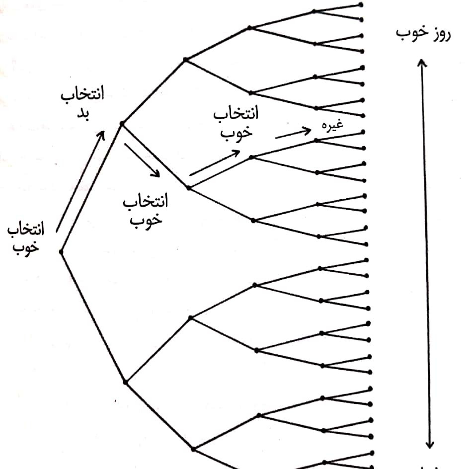 فصل سیزدهم
