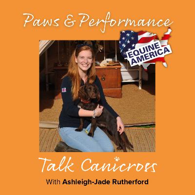 Paws and Performance Paws and Performance