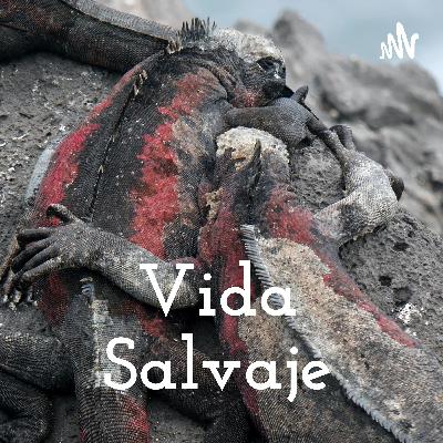 Episodio 1- BIENVENIDA Episodio 1- BIENVENIDA